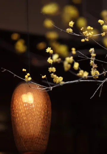 臨潮公寓（海寧鹽官觀潮景區店）