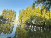 Boxiyueli Hotel (Wuxi Yuantouzhu Scenic Area) - Bergblick