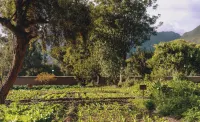 Tambo del Inka, a Luxury Collection Resort & Spa, Valle Sagrado - vue sur la montagne