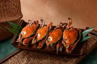 舟山悅椿飯店 - 陽台