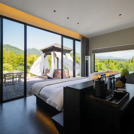 Villa Mirador Courtyard Hot Spring Lodge (located in the Qingcheng Mountain scenic area)