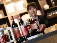 Madison Meixi Hotel Nanyang Hotels in Nanyang