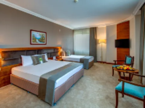 Bera Konya Hotel Hotels in Konya