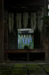Chandra Residence