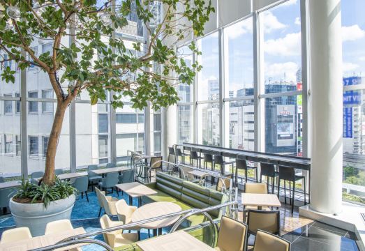 4. 시부야 엑셀 호..