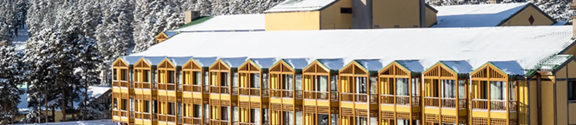 Premium Hotels
