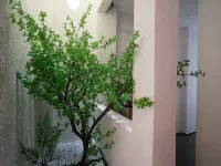 Mingxilou Inn (Chaozhou Ancient City Paifang Street) Hotels in Chaozhou