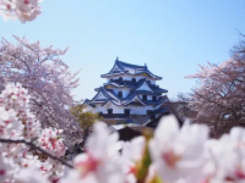 โรงแรมคาเมะโนอิ ฮิโคเนะ โรงแรมในฮิโกเนะ