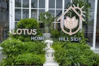 Lotus Home Hillside Các khách sạn ở Đảo Phú Quốc