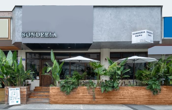 SONDERIA Hostel & Bar-Lazybones