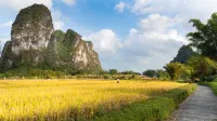 Yuetian Life Hotel (Yangshuo Shili Gallery Yulong River Branch) - Mountain view