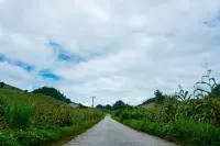 Plateau Travel - Tours & Motorbikes Rental - Cao Nguyen Hotel