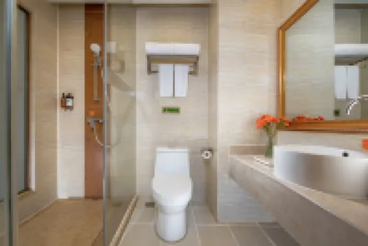 Vienna Hotel (Liuyang Xincheng International)