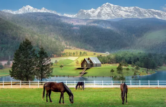 麗江玉龍雪山桃花塢牧場•日照金山•野奢觀景度假酒店