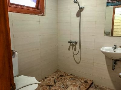 デラックス ダブルルーム ウィスマ アリーズ ホテル ジョグジャカルタの写真