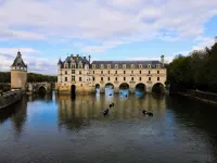 The melody of the forest, 5 minutes from Chenonceau Castle