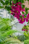 Chic stay HANA Boutique hotel Hotels in 