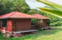 Leafyden Forest Cottages Hotels in Murud
