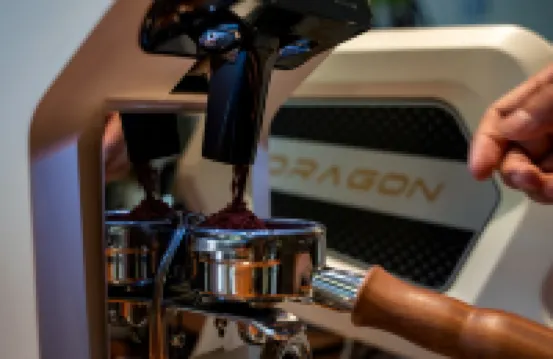 Dali Ancient Town Mogu House Inn