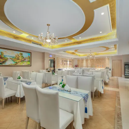 Vienna Hotel (Xinxiang DL Fat Donglai Sanpang Store)