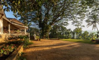 Clodagh Manor House by Seven Angels