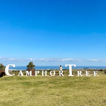Camphortree Hotel and Resort Отели рядом с достопримечательностью «Тематический парк Elefunsia»