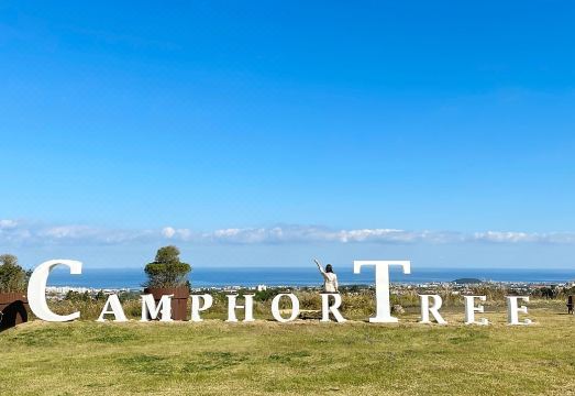 캠퍼트리 호텔 & 리조트