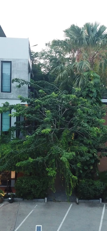 รูปภาพของปอมปอมโฮม