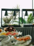 LuxeBay Resort - Mountain view