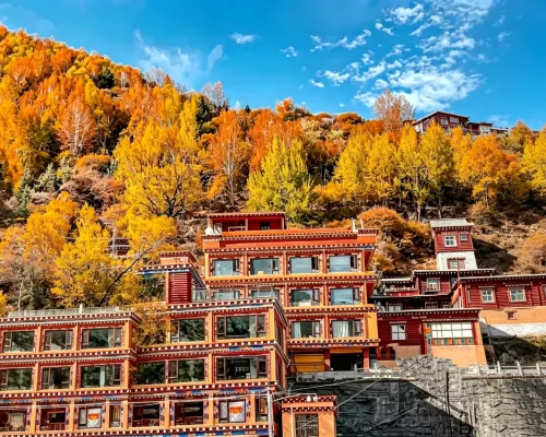 Minshan Xingzhe Muxin Wangqinda Hotel (Dege Yinjing Yuan Branch) Hôtels à : Dêgê