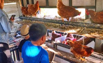 Tantai Eco Farm Stay at Khao Yai