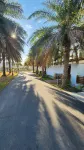 The Louts Villa