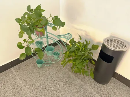 Yuetu · Yi Homestay (Qihe County Quancheng Oulebao Dinghui Temple) Отели в г. Цихэсянь