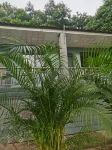 Fuyou Garden Inn
