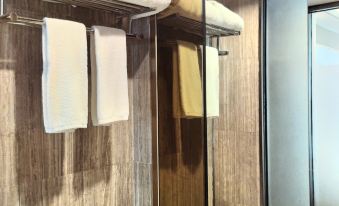 Jiaxi InternationaI Hotel Shenzhen Baoan Airport Xiwan Mangrove branch