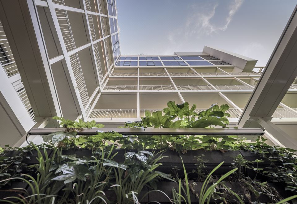 팔라초 비리디스 이미지