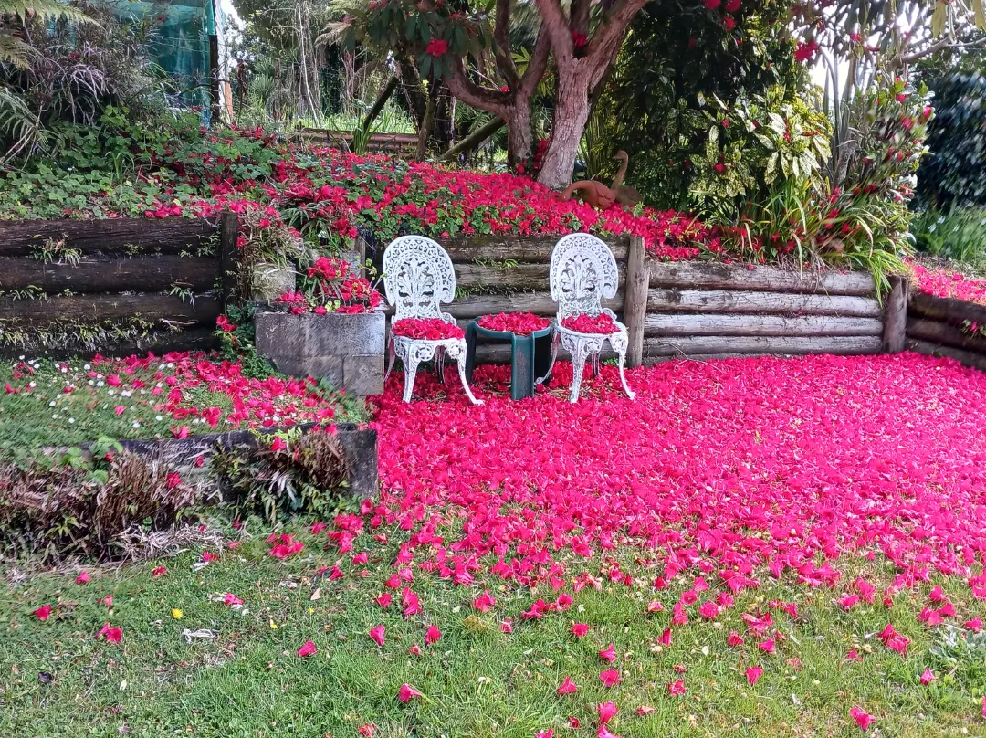 Magpie Cottage - Homestay B&b - Taumarunui