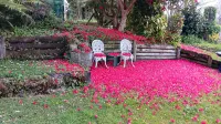 Magpie Cottage - Homestay B&B Các khách sạn ở Taumarunui