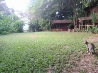 Hug Pang Mao Homestay Lampang โฮมสเตย์ฮักปางมะโอ ลำปาง Hotels in 