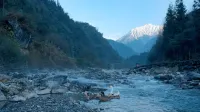 Dayi District Snail Soup Home Stay - Mountain view