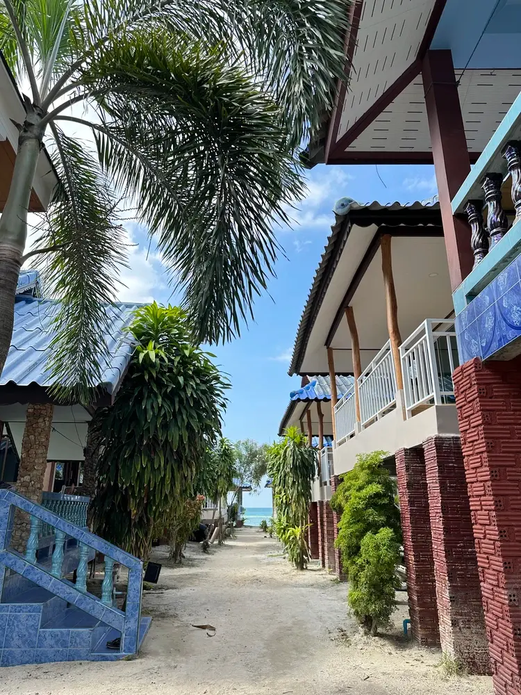 รูปภาพของยูโฟเรีย