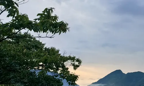 Yuyinchaping Homestay