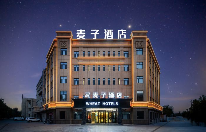Shanshan Maizi Hotel (Kumutage Desert)