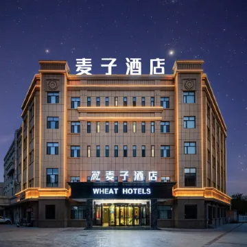 Shanshan Maizi Hotel (Kumutage Desert)