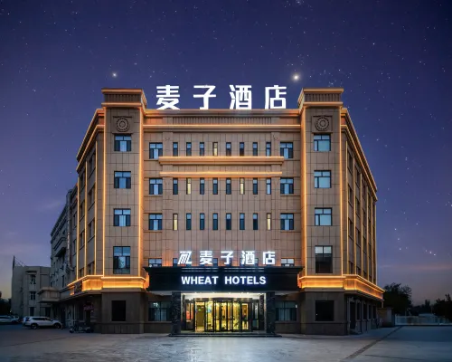 Shanshan Maizi Hotel (Kumutage Desert) Hotels in Shanshan