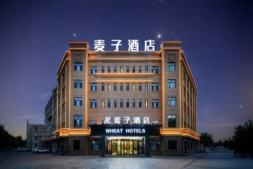 Shanshan Maizi Hotel (Kumutage Desert)