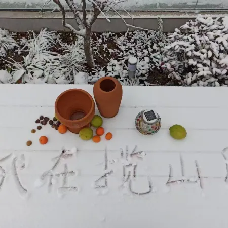 Chongqing Nantianhu Lanshan Yue Homestay
