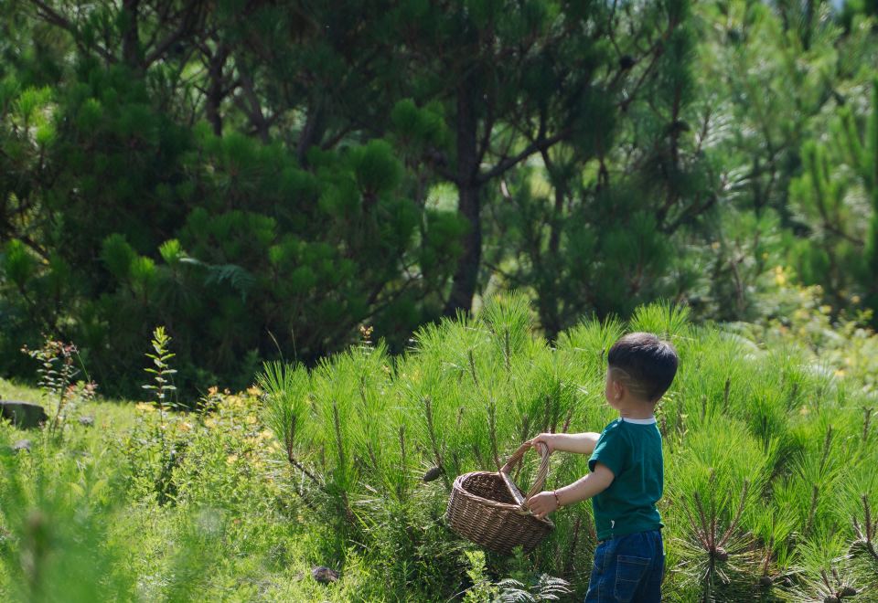 빌라파운드 리장