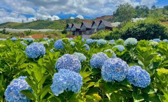 DA LAT THIEN VUONG