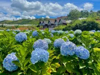 Đà Lạt Thiên Vương Homestay Các khách sạn ở Lạc Dương